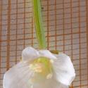Img.VTax910.Ex1.Img5
