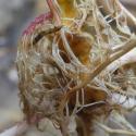 Img.VTax915.Ex3.Img6