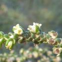 Img.VTax938.Ex3.Img3