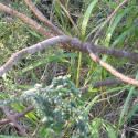 Img.VTax938.Ex3.Img4