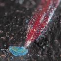 Img.VTax953.Ex2.Img5