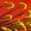 Img.VTax953.Ex2.Img6
