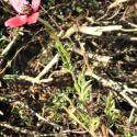Img.VTax958.Ex1.Img3