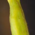 Img.VTax963.Ex3.Img4