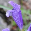 Img.Vtax2460.Ex2.Img6