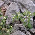 Img.Vtax931.Ex2.Img3