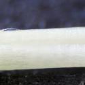 VTax2035.Ex2.Img7