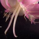 VTax2035.Ex2.Img8