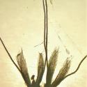 VTax4081.Ex1.Img2