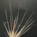 VTax4194.Ex5.Img1